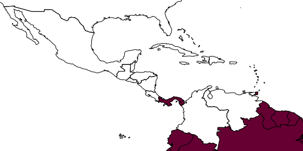 map of Anisepyris proteus     Evans, 1966
